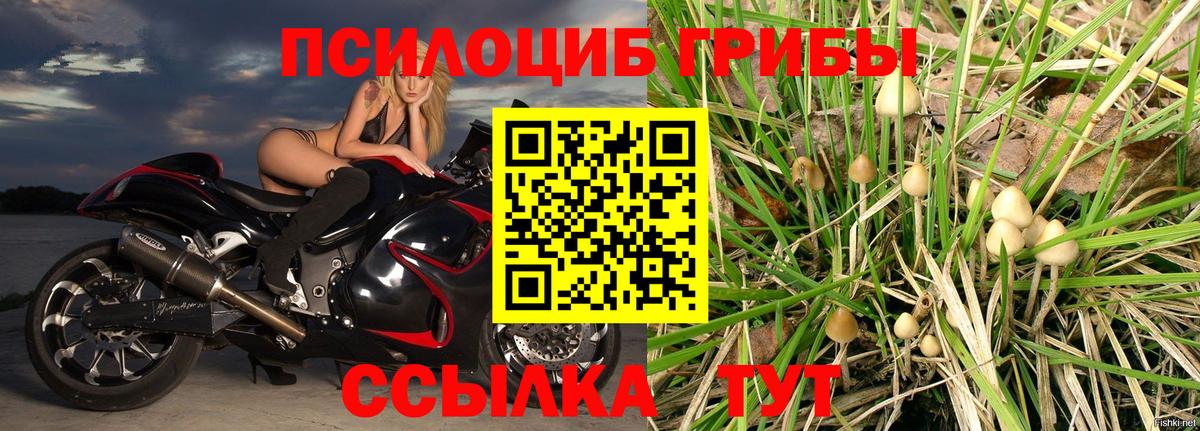 Урай  Галлюциногенные грибы ЛСД  Вход с VPN 