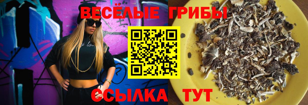 Псилоцибиновые грибы прущие грибы Урай